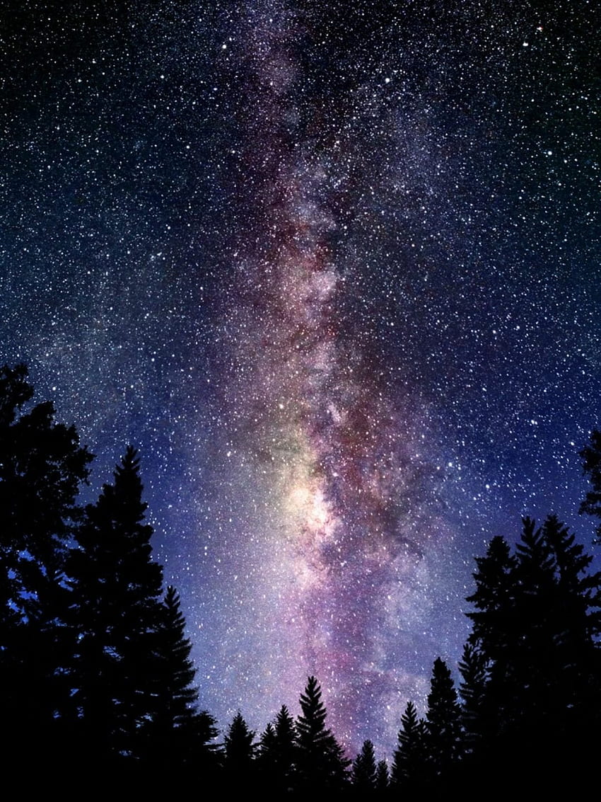Galaxy skin preview showing starry cosmic colours